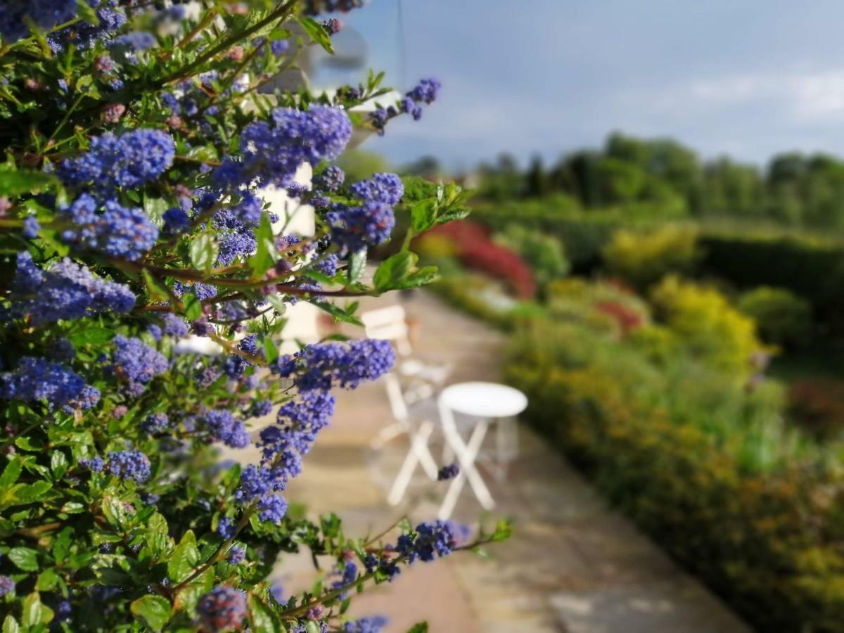Meadow Cottage Bed & Breakfast Hawkhurst Extérieur photo