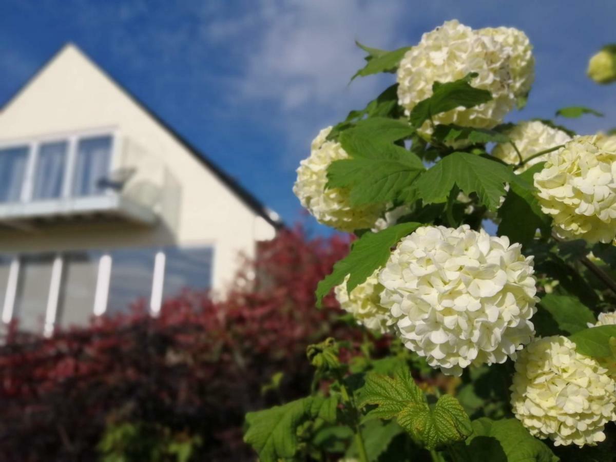 Meadow Cottage Bed & Breakfast Hawkhurst Extérieur photo