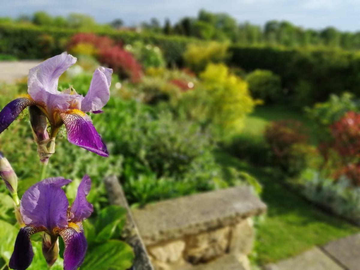 Meadow Cottage Bed & Breakfast Hawkhurst Extérieur photo
